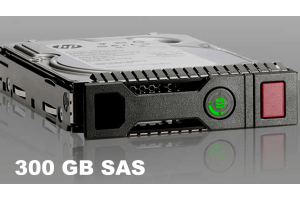 300 GB SAS HDD